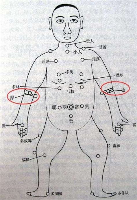 前手臂有痣 黑貓好嗎